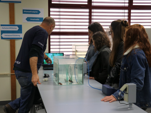 Open day at CCMAR Generic representation of Open day at CCMAR