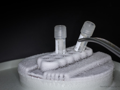 CCMAR integra projeto estratégico europeu para o combate à COVID-19 Generic representation of CCMAR integra projeto estratégico europeu para o combate à COVID-19