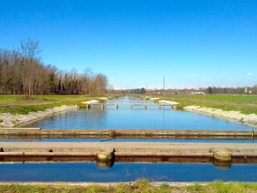 Researchers claim legal protection status for farmed fishes Generic representation of Researchers claim legal protection status for farmed fishes