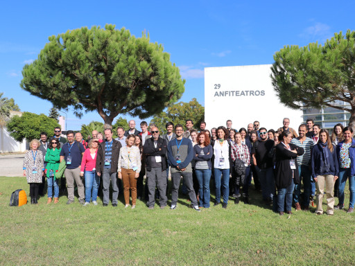 CCMAR organiza curso intensivo de bem-estar de peixes Generic representation of CCMAR organiza curso intensivo de bem-estar de peixes