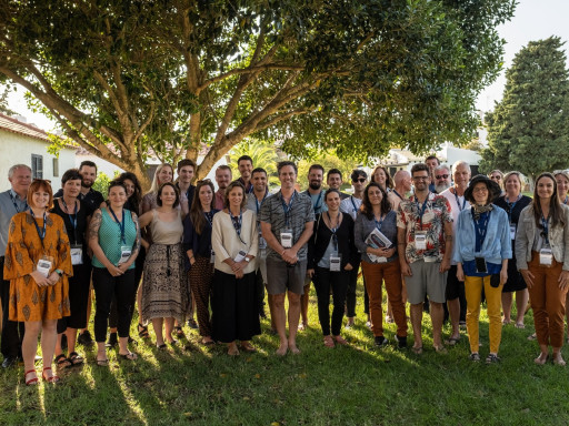 Summer Shoal for the first time in Portugal Generic representation of Summer Shoal for the first time in Portugal