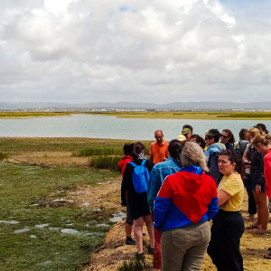 Generic representation of Primary school teachers learned more about seagrass meadows and seahorses