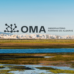 observatório marinho do algarve